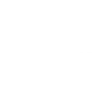 Marca ECMO Minas
